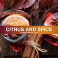 Citrus & Spice Fragrance Oil