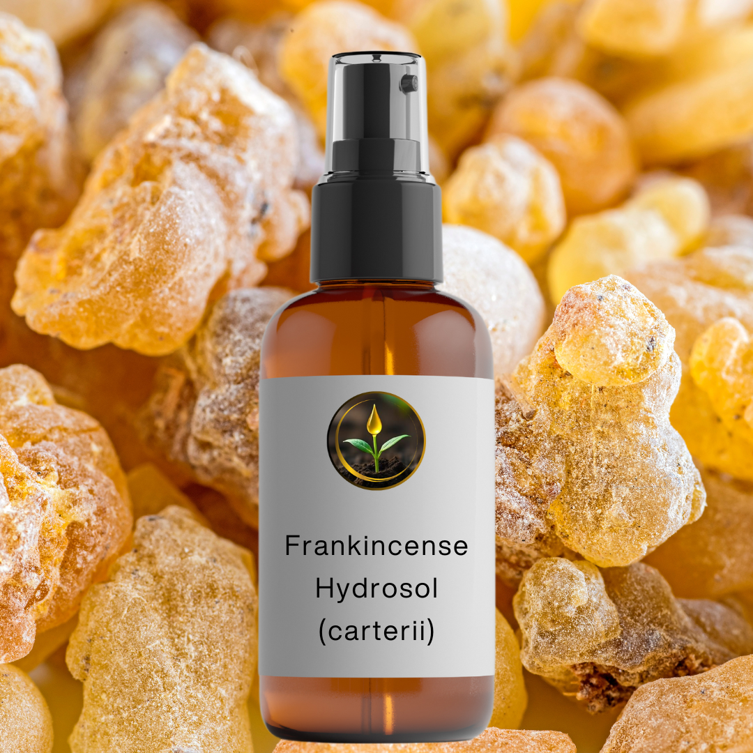 Frankincense (carterii) Hydrosol