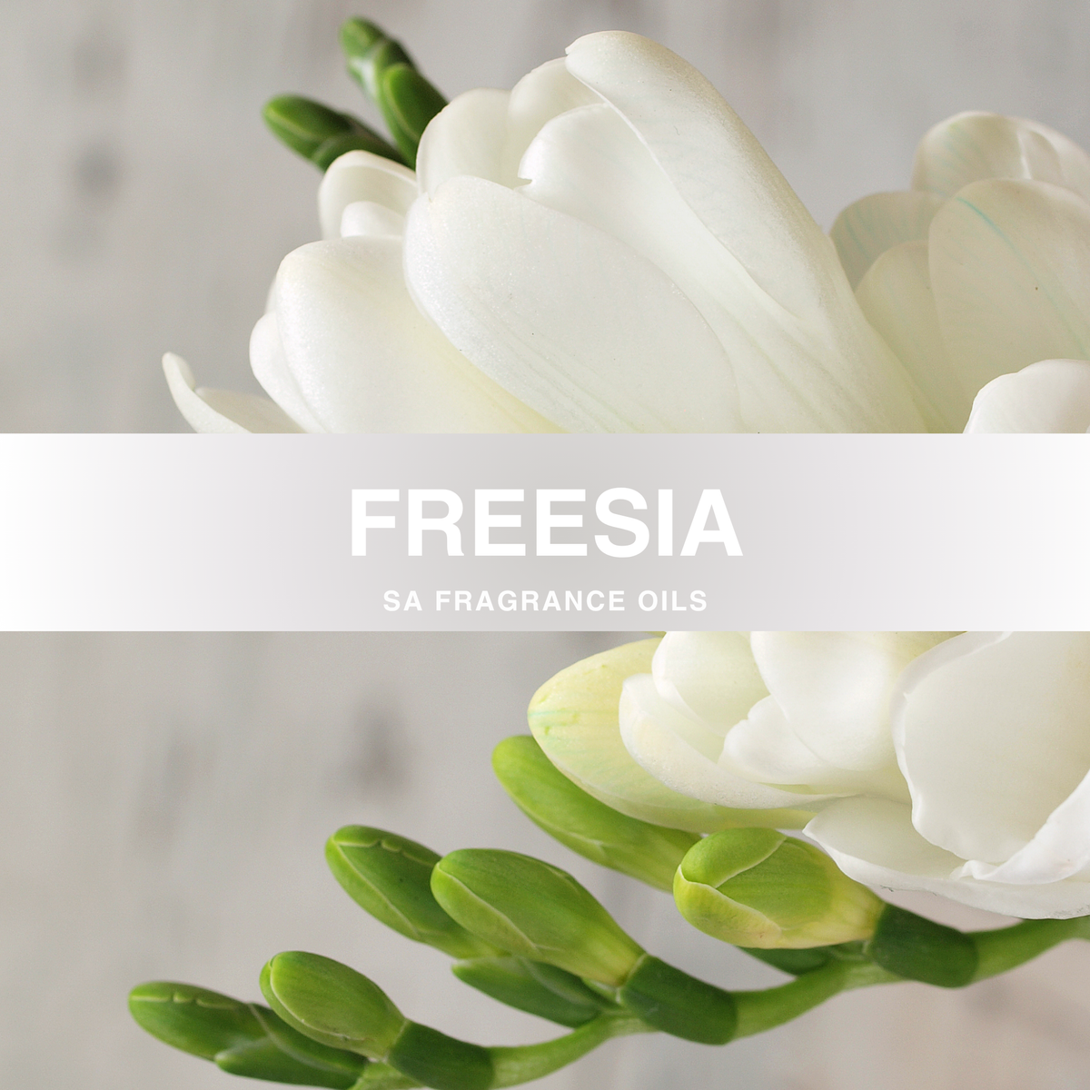 Freesia Fragrance Oil