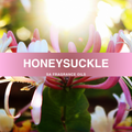 Honeysuckle Fragrance Oil