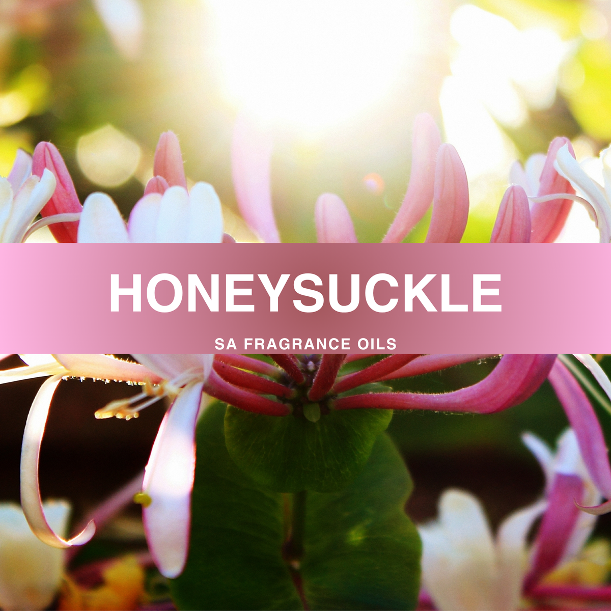 Honeysuckle Fragrance Oil