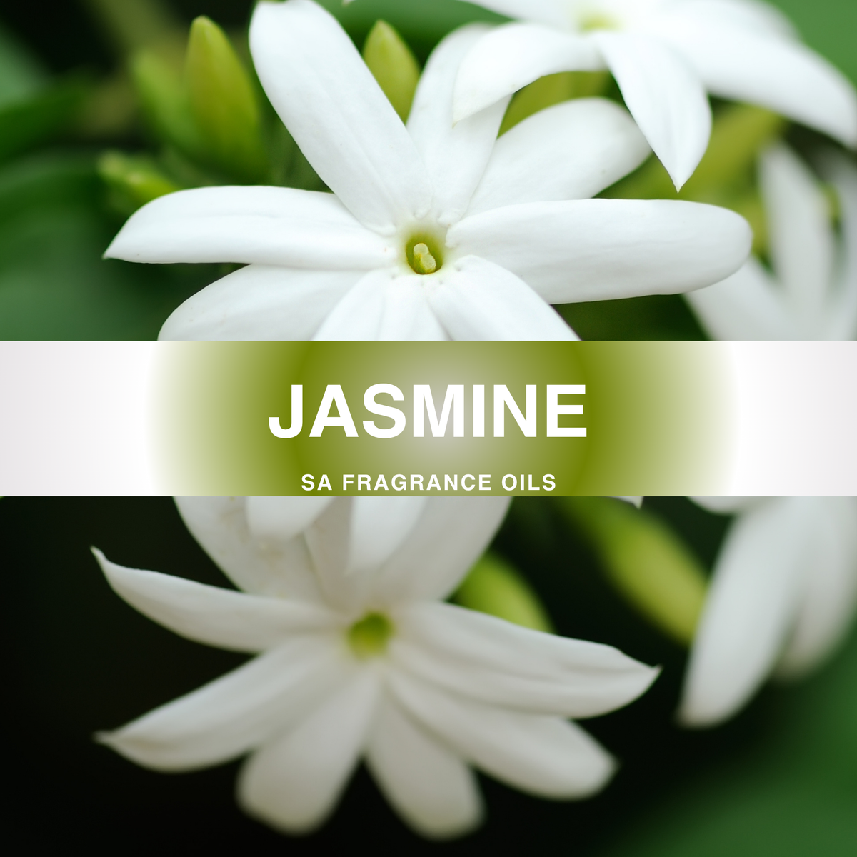 Jasmine Fragrance Oil