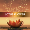Lotus Flower Fragrance Oil