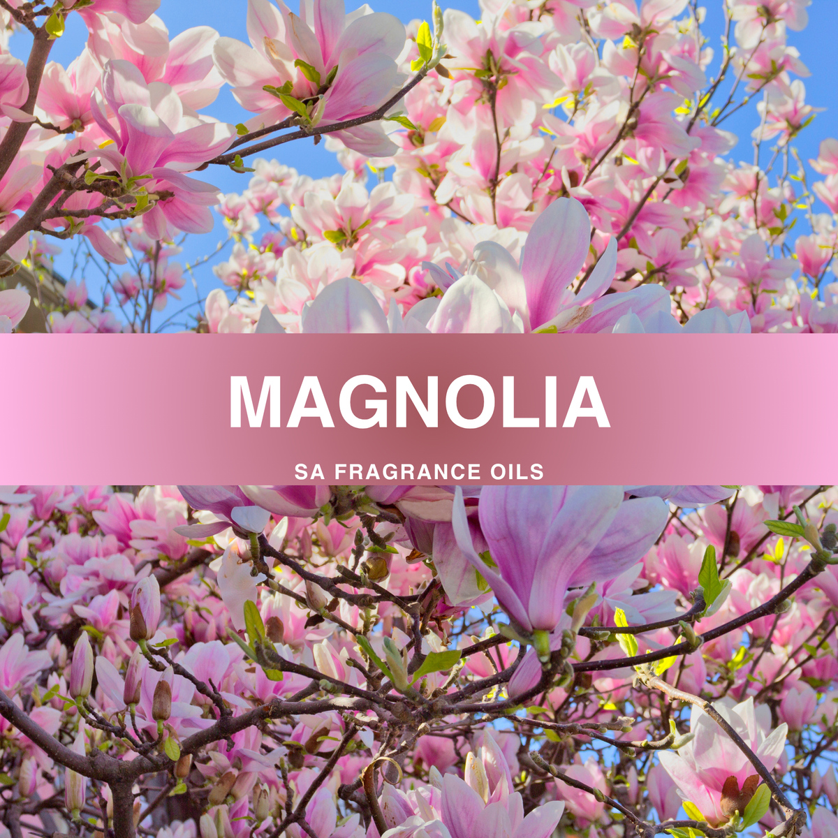 Magnolia Fragrance Oil