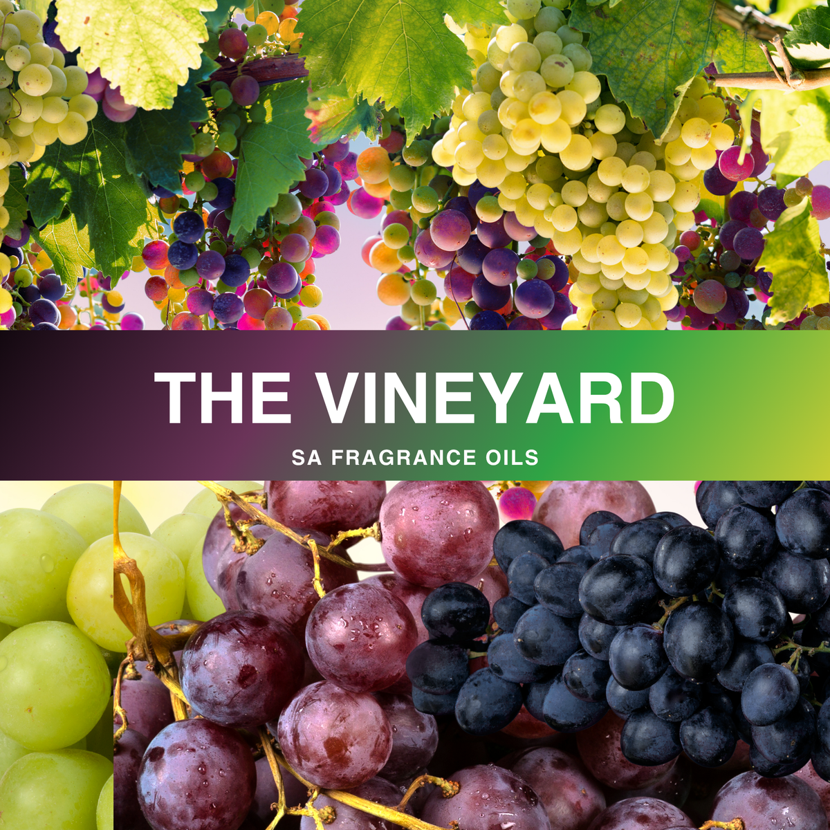 Vineyard Grape Fragrance Oil
