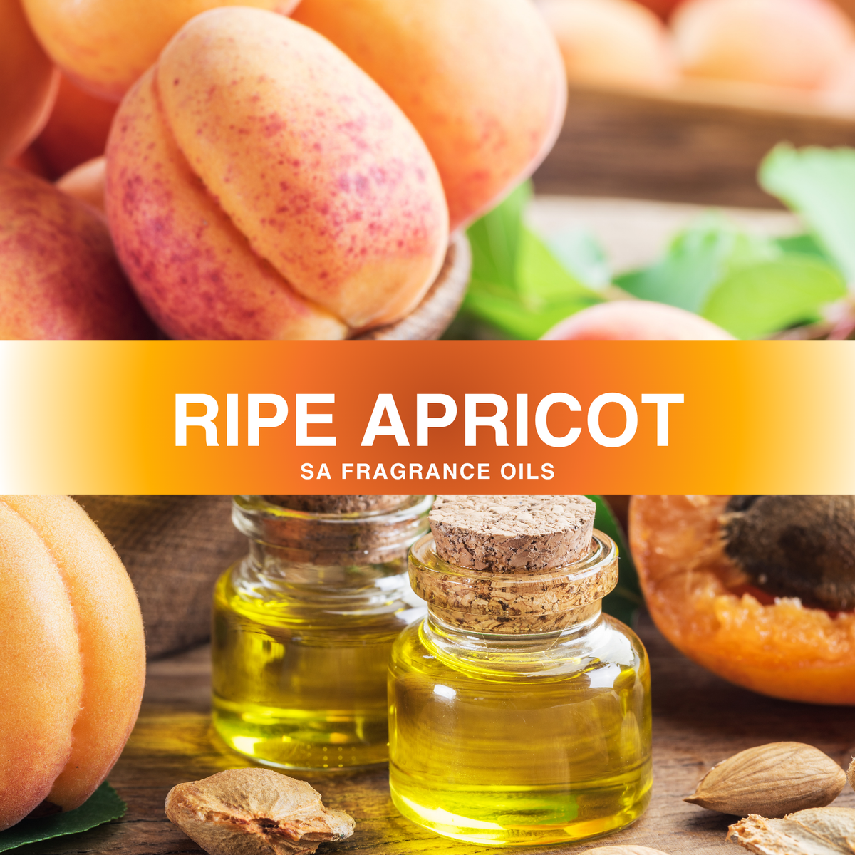 Apricot Fragrance Oil