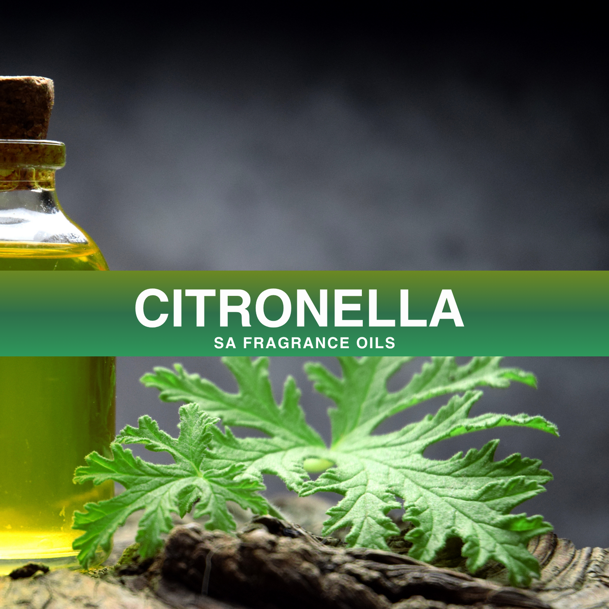Citronella Fragrance Oil