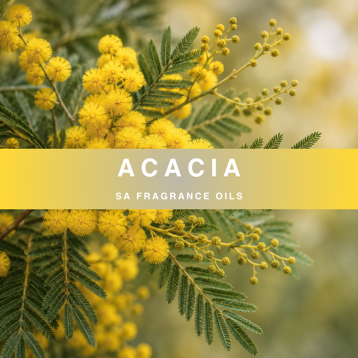 Acacia Fragrance Oil