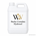 Buchu Crenulata Hydrosol - Jerry Can