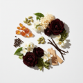 Calypso - Queen Scent Notes