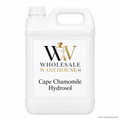 Cape Chamomile Hydrosol - Jerry Can