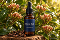 Clove Bud Essential Oil - Standardised