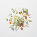 Dashing – White Diamonds Scent Notes