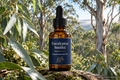 Eucalyptus Smithii Essential Oil - Organic