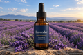 Lavender Essential Oil - Angustifolia
