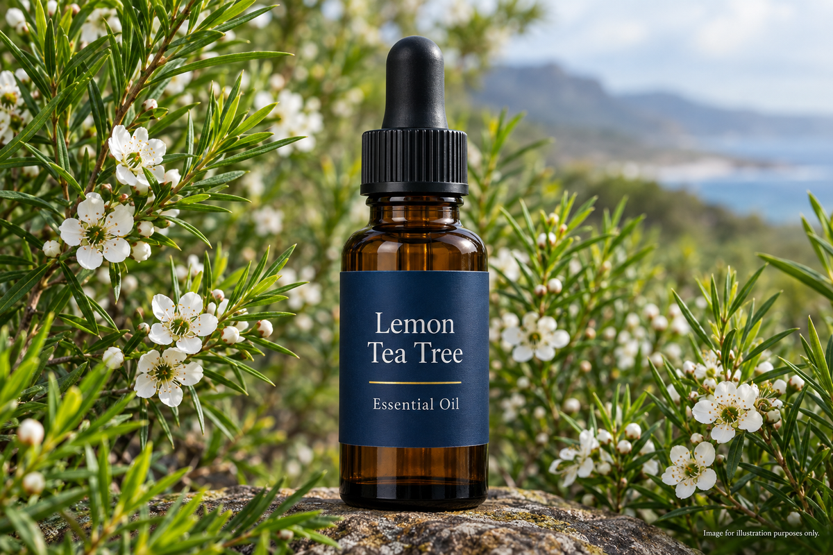 Lemon Scented Tea Tree Essential Oil
