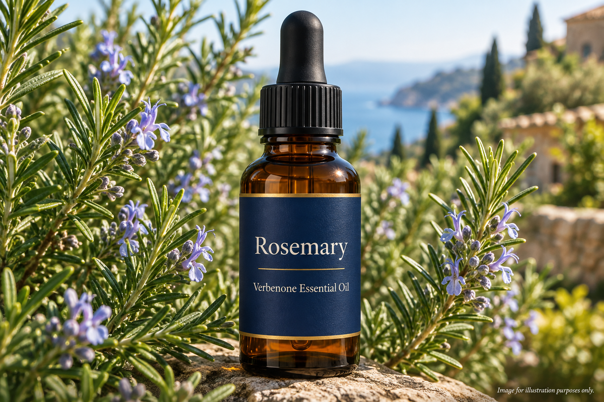 Rosemary Essential Oil - Verbenone