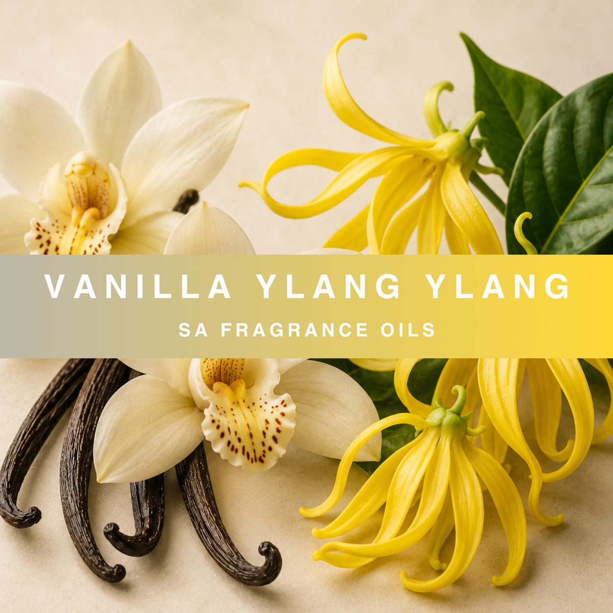 Vanilla Ylang Ylang Fragrance Oil