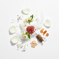 Vogue - Pure Musc NR Scent Notes