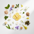 Zest - Panache Scent Notes